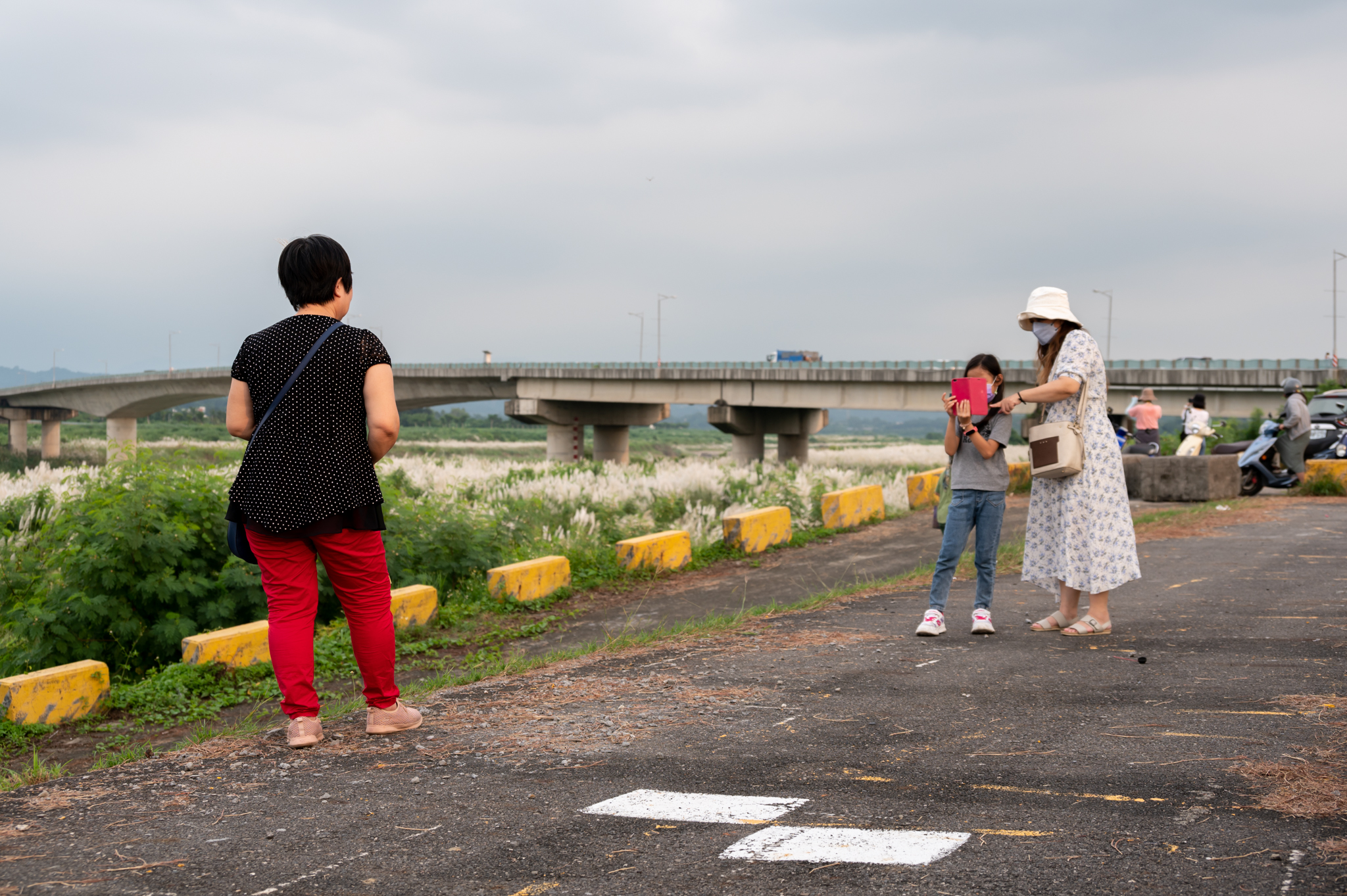 2021-09-19 大內橋散步看芒草
